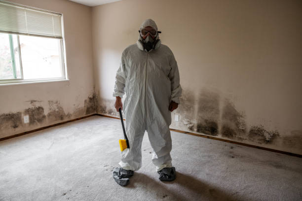 Mold Remediation for Rental Properties in Webb City, MO